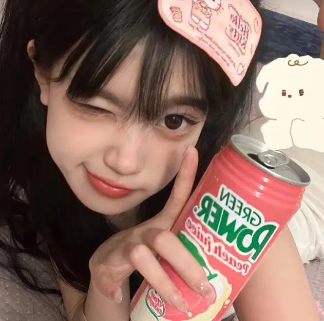 羊与钢的森林